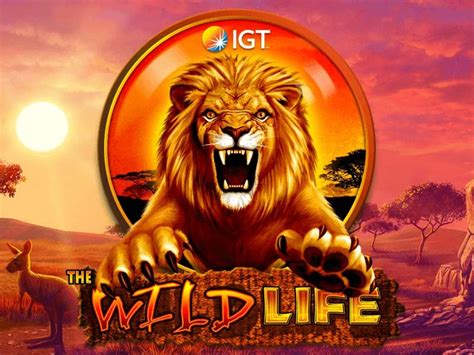the wild life free play online slots